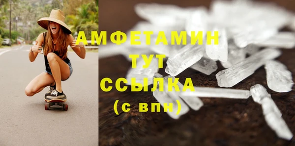 дурь Пестово