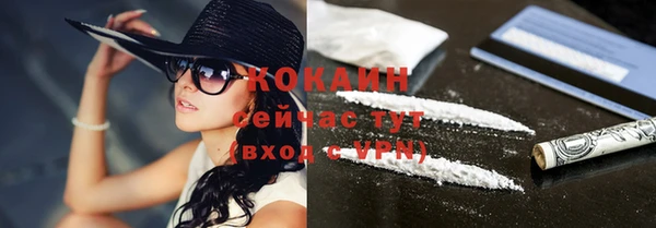 прущая мука Пересвет