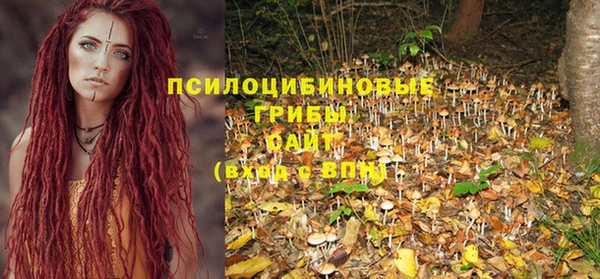 прущая мука Пересвет