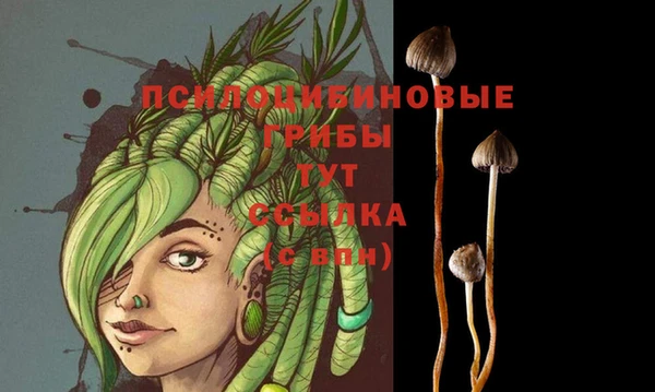 дурь Пестово