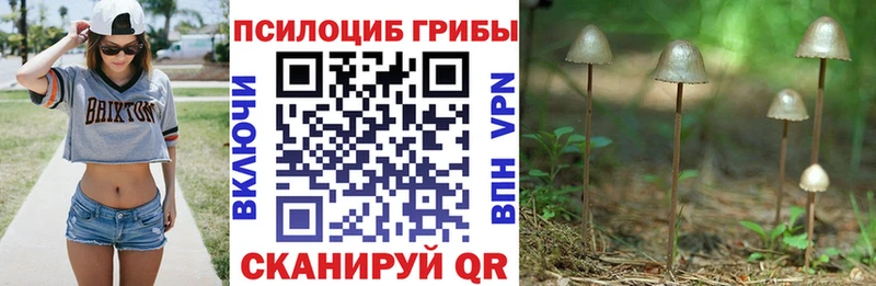 даркнет сайт  Советская Гавань  ОМГ ОМГ сайт  Псилоцибиновые грибы Magic Shrooms 